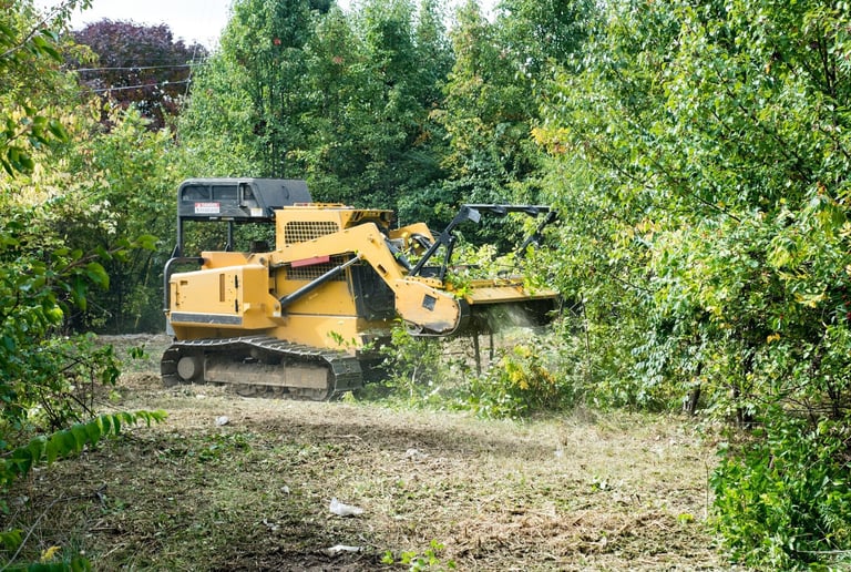 Heavy machinery clearing trees and brush from overgrown land