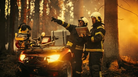 Professional Firefighters planning Wildland Fire extinguishing strategy