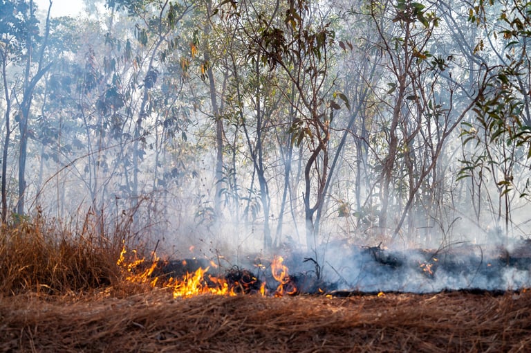 Bushland burn off in remote areas