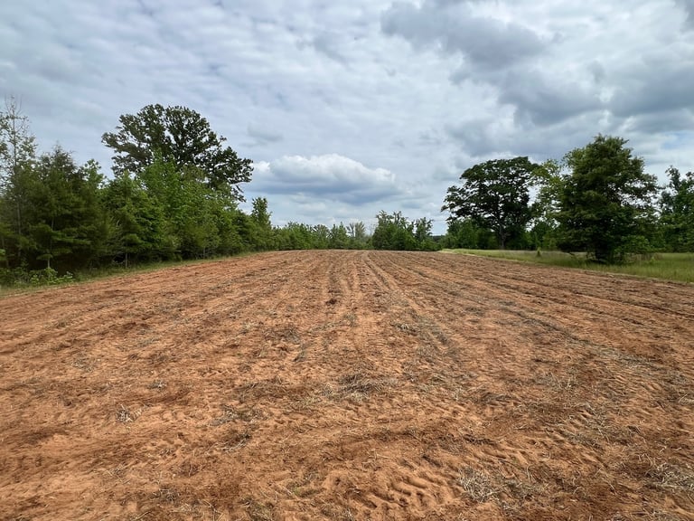 Large plowed agricultural field with rows extending into the distance, lined with trees under a cloudy sky