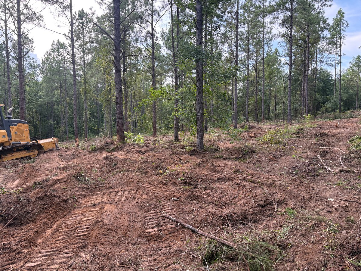 Construction site in forest with yellow bulldozer clearing land among tall pine trees and dirt terrain