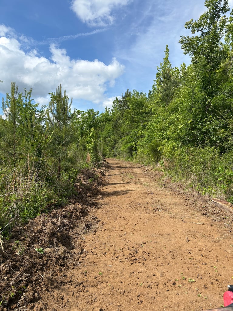 Dirt path lined with green trees and shrubs under a blue sky with white clouds