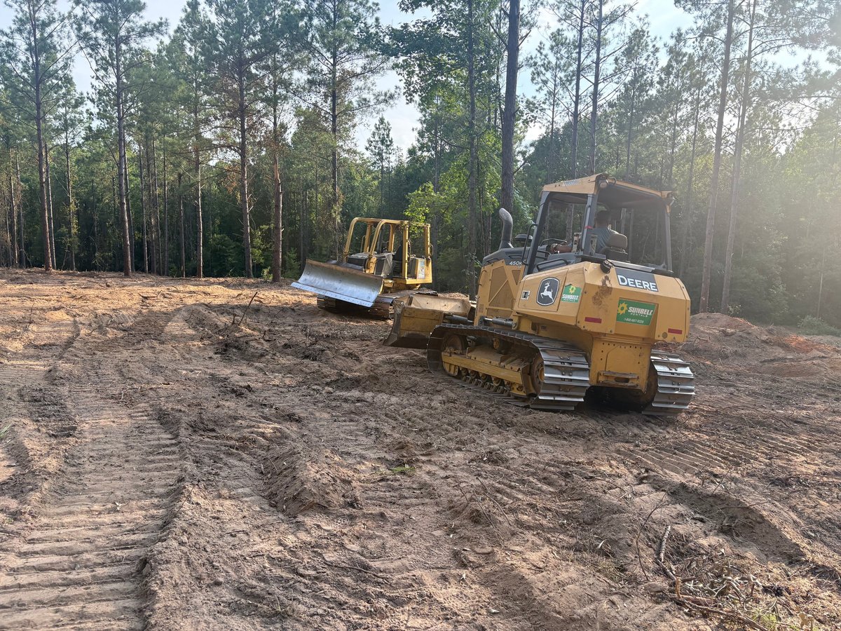 Two yellow bulldozers clearing a forested lot with dirt and tree debris in a wooded area