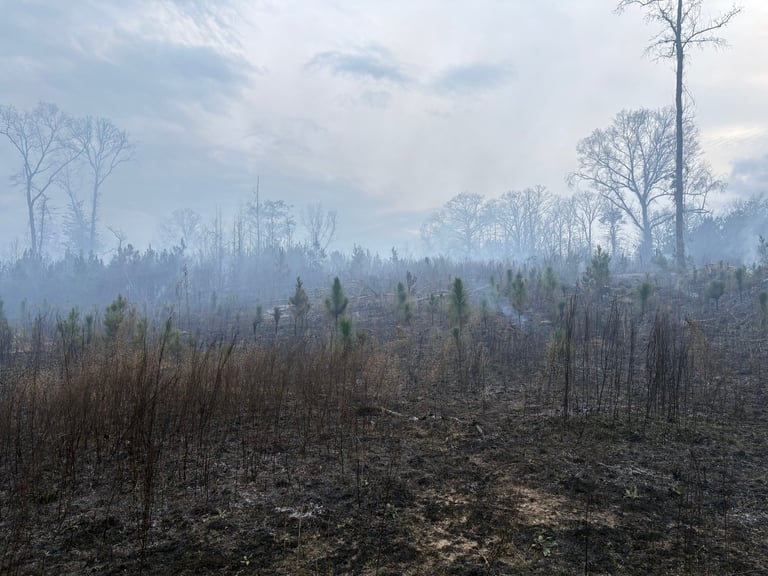 Wildfire mitigation and prevention work